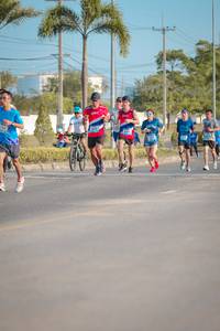 BIB: 
                            <button type="button" onclick="openModal(3254509)" class="btn btn-primary btn-sm float-right btn-popup" data-toggle="modal" data-target=".modal-high-quality">
                        <i class="fas fa-shopping-cart"></i> Add to Cart
                    </button>
                                            <button type="button" onclick="isThisMe(3254509, true)" class="btn btn-success btn-sm float-right btn-popup btn-isme hidden" data-toggle="tooltip" data-placement="bottom" title="นี่คือรูปของคุณใช่ไหม คลิกที่นี่เพื่อเอาเข้าอัลบั้ม">
                        <i class="fas fa-plus"></i> Add to album
                    </button>
                    <button type="button" onclick="isThisMe(3254509, false)" class="btn btn-warning btn-sm float-right btn-popup btn-isnotme hidden">
                        <i class="fas fa-ban"></i> Remove from album
                    </button>